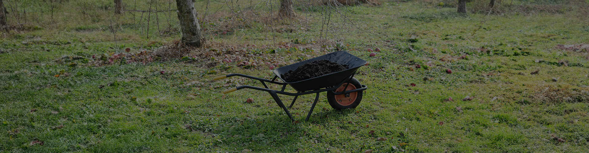 採用情報 | 伊達水蜜園